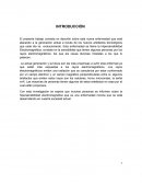 Hipersensibilidad Electromagnetica.