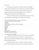 Un modelo básico de ficha técnica deberá contener los siguientes datos: