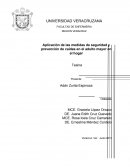 Aplicación de las medidas de seguridad y prevención de caídas en el adulto mayor en el hogar.