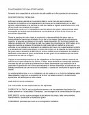 PLANTEAMIENTO DE UNA OPORTUNIDAD,