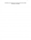 ESTUDIO DE CASO EXITOSO DE UNA ORGANIZACION DE ECONOMIA SOLIDARIA EN COLOMBIA