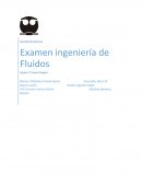 Facultad de Química Examen ingeniería de Fluidos.