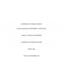 CONCEPTO DE ENFERMERIA DE ACUERDO A LA REPRESENTANTE TEORICA