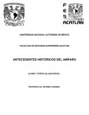 ANTECEDENTES HISTORICOS DEL AMPARO.