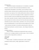 Plantas vasculares y no vasculares.