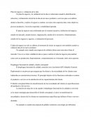 ETAPAS DEL DISEÑO DEL PRODUCTO.