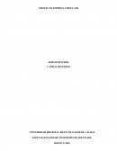 PROYECTO EMPRESA CHOUCAIR.