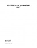 Efectos de la contaminación del agua