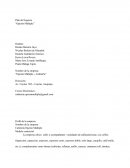 Plan de Plan de Negocio “Opción Múltiple”