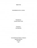 Pretarea algebra lineal