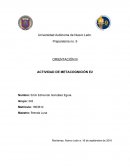 Actividad de metacognición. Orientación