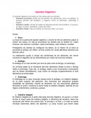 Funcion del aparato digestivo y sus partes