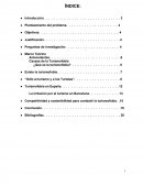 Turismofobia en España.