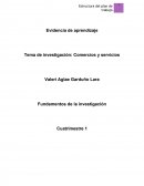 ESTRUCTURA DEL PLAN DE TRABAJO.