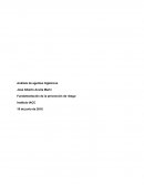 Análisis de agentes higiénicos . Fundamentación de la prevención de riesgo