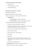 ETAPAS DEL PROCESO DE NEGOCIACIÓN..