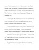 Replica de caso educar bien o ser rentable