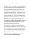 Auditoria Caja Alianza Sahuayo