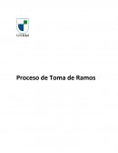 Proceso de Toma de Ramos Delimitar la Problemática: Toma de ramos en la Universidad.