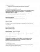 Procesal Constitucional.