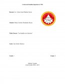 Ensayo Las Batallas Del Desierto.