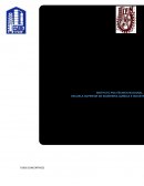 TUBOS CONCENTRICOS Laguna Apáez Andrea Pamela