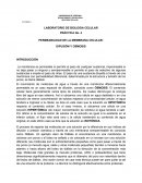 PERMEABILIDAD DE LA MEMBRANA CELULAR: