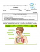 Examen de Ciencias I con énfasis en Biología