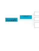 Consideramos que las palabras anteriormente expuestas son las más importantes dentro del tema de las obligaciones de los titulares de las dependencias; primeramente para poder comprender este tema debemos saber quién es considerado titular, como posteri