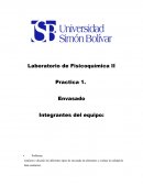 Analizar y discutir los diferentes tipos de envasado de alimentos y evaluar la calidad de latas sanitarias.