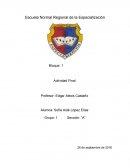 Bloque: 1 Actividad Final