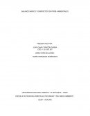 BALANCE MASICO Y ENERGETICO EN PROB. AMBIENTALES