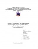 Promoción de la Nutrición adecuada a personas diabéticas de la comunidad de Bello Monte