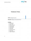 Trabajo final de estrategia de precios - ISIL