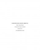 Un poco de Evaluación de impacto Ambiental.