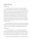 Plan de cultivo de riego