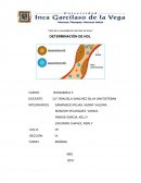 Un tema: “Año de la consolidación del Mar de Grau”.