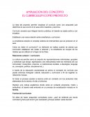 AMPLIACION DEL CONCEPTO DEL CURRICULUM COMO PROYECTO.