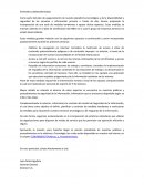 Notificación Politicas de Navegacion Respaldos y Comité de Seguridad