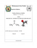 El ingeniero quimico y su participacion en puestos de direccion gubernamental