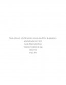 Sistema de transporte vertical de materiales: sistemas de grúas de brazo fijo, grúas pórticos, grúas puente; grúas mono y birriel
