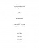 Informe 2- Centro Regional de Chiriquí.