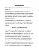 Maltrato animal. En el maltrato animal existen dos tipos de maltrato