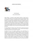 TOUR OPERADOR EN EL SECTOR TURISTICO