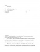 Analisis Cronicas de una muerte anunciada