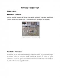 INFORME COMBUSTION RESULTADOS. Página 1