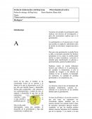 Practica 1 biologia.