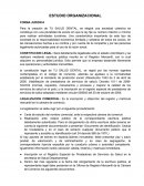 Tema- ESTUDIO ORGANIZACIONAL.