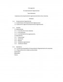 Importancia del comportamiento organizacional dentro de las empresas..