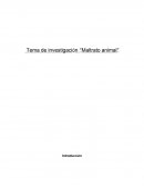 Tema de investigación “Maltrato animal”